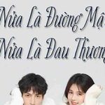Nửa Là Đường Mật Nửa Là Đau Thương