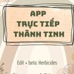 App Trực Tiếp Thành Tinh