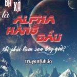 Bà Xã Là Alpha Hàng Đầu Thì Phải Làm Sao Bây Giờ?