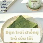 Bạn Trai Chống Trà Của Tôi