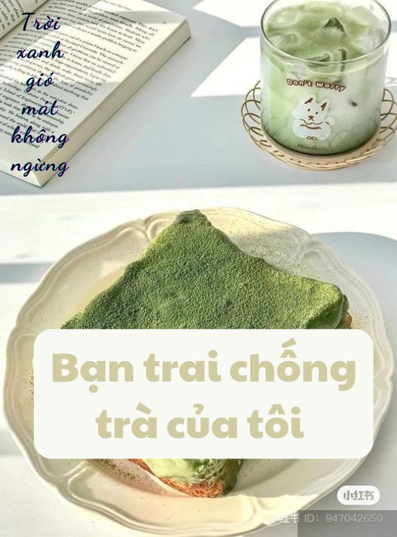 Bạn Trai Chống Trà Của Tôi