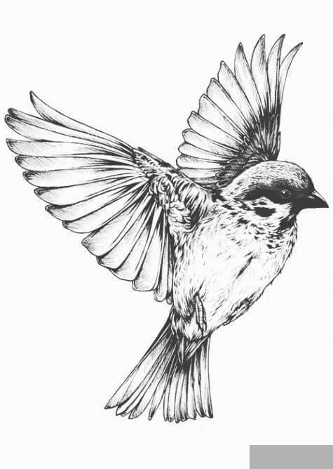 Bầy nhạn gãy cánh