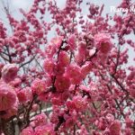 Cảm giác thua cuộc