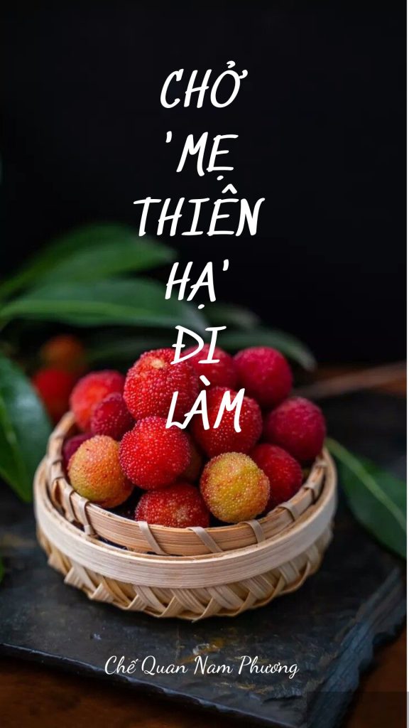 Chở ‘Mẹ Thiên Hạ’ Đi Làm
