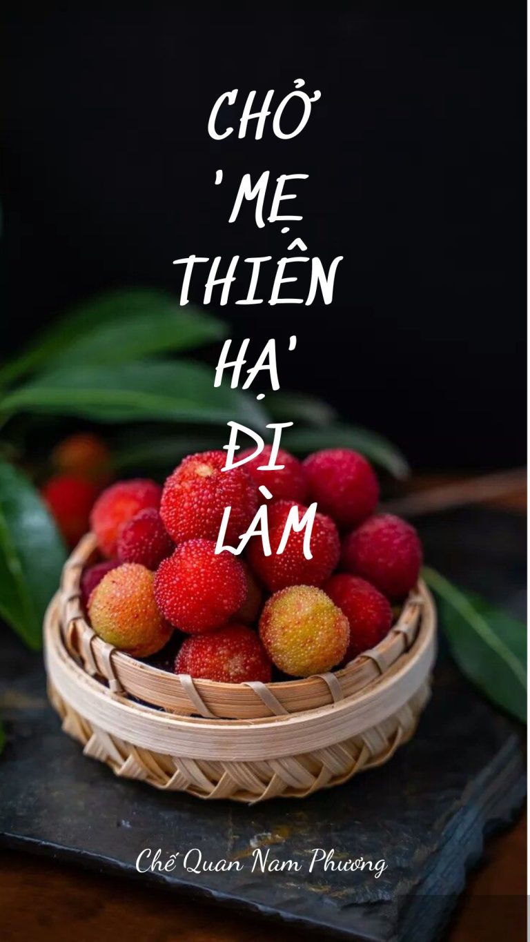 Chở ‘Mẹ Thiên Hạ’ Đi Làm