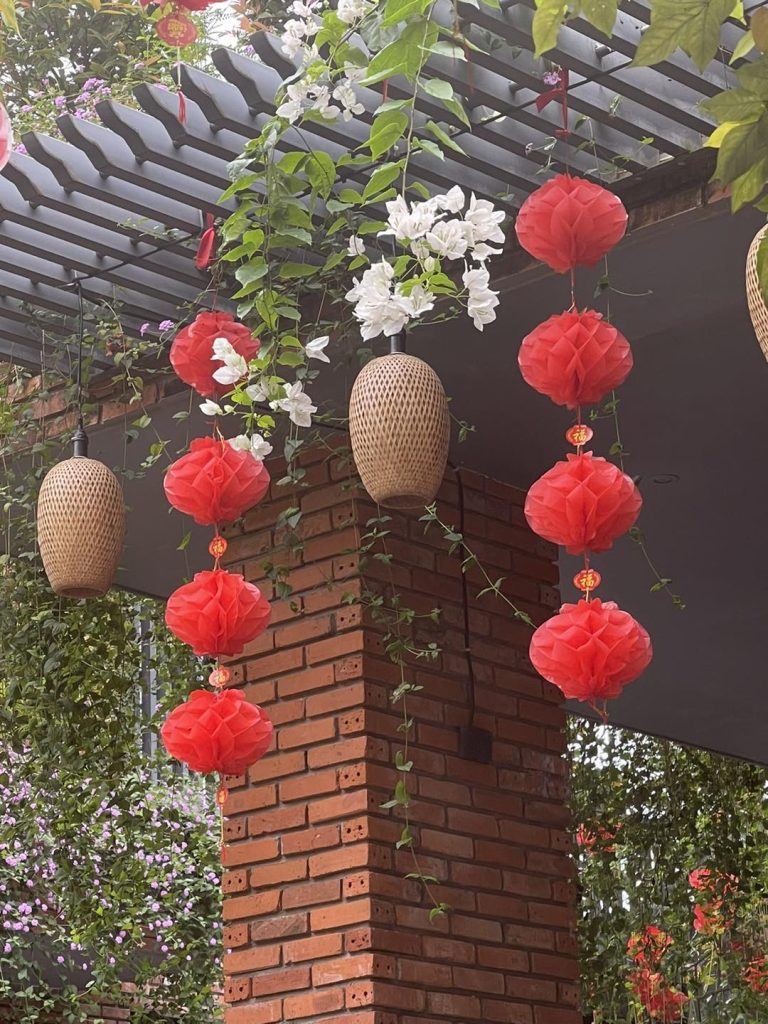 Cừu béo dẫn lợn rừng về nhà