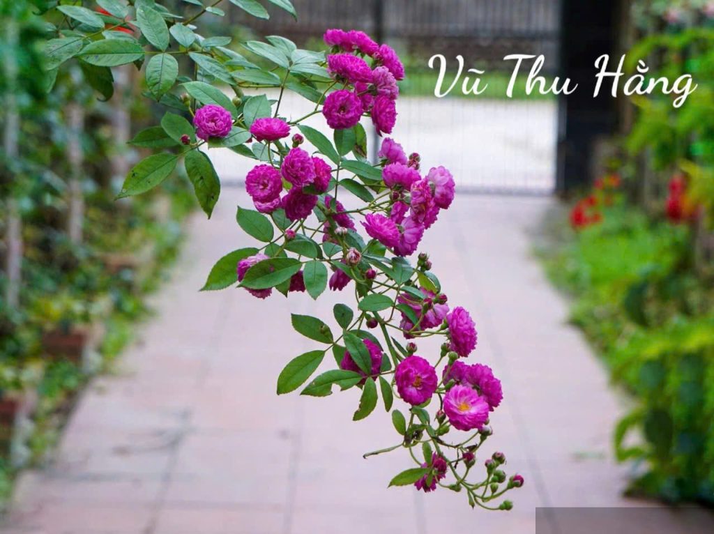 Dành trọn phần đời còn lại ở bên nhau