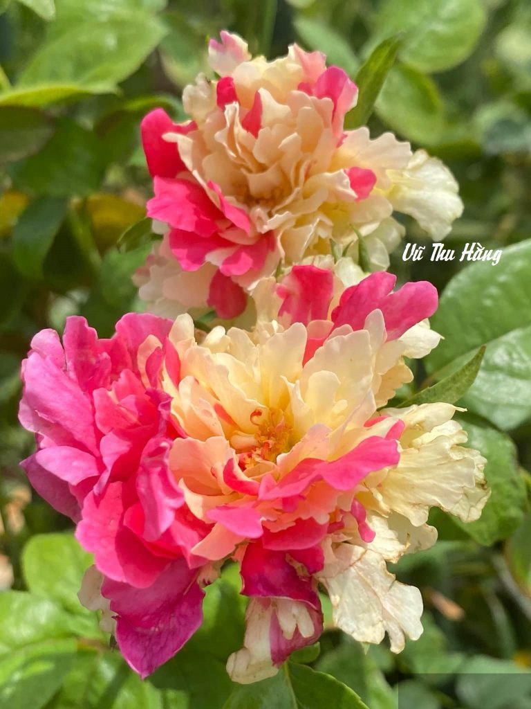 Đứng vững trên chân mình