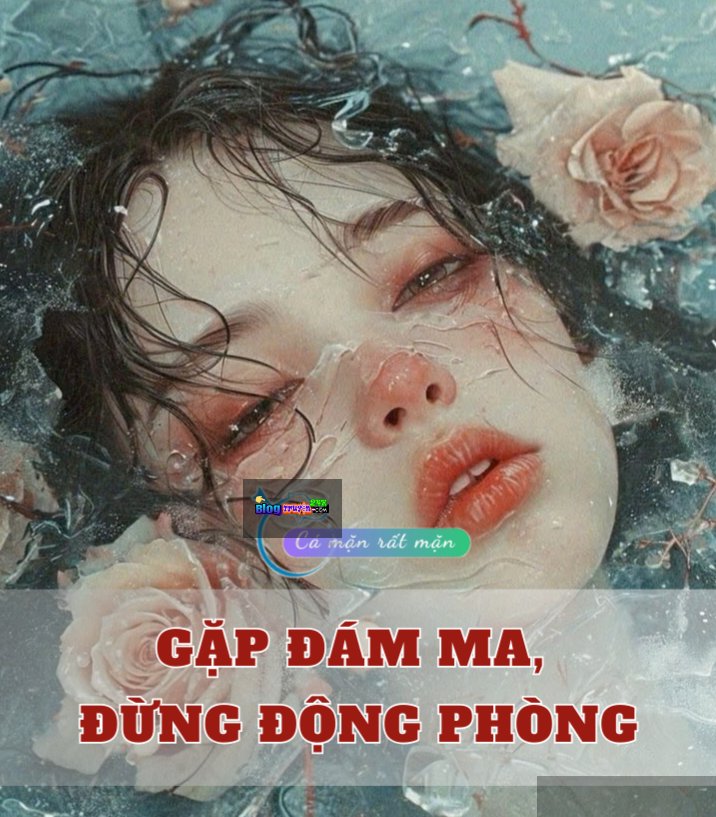 Gặp Đám Ma, Đừng Động Phòng