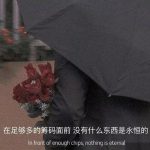 Gỗ chết nở hoa vào mùa đông.