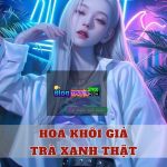 Hoa Khôi Giả, Trà Xanh Thật
