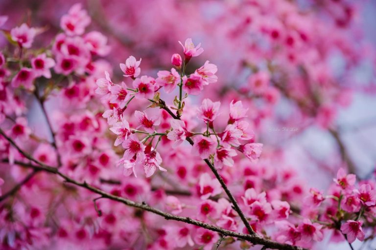 Hot sau khi công khai có con với ảnh để