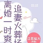 Ly Hôn Nhất Thời Sảng, Truy Thê Hỏa Táng Tràng