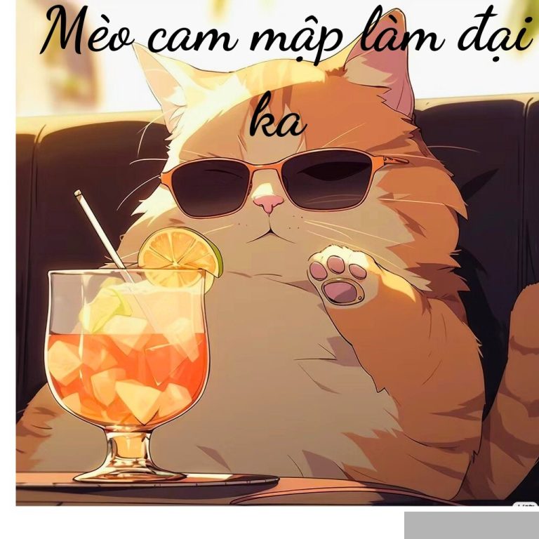 Mèo Cam Mập Làm Đại Ca