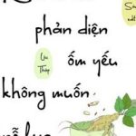 Nhân Vật Phản Diện Ốm Yếu Không Muốn Nỗ Lực