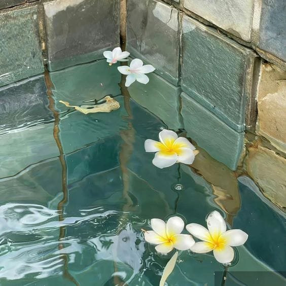 Ông Trời Có Mắt