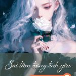Sai Lầm Trong Tình Yêu