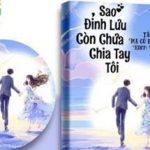 Sao Đỉnh Lưu Chưa Chia Tay Tôi