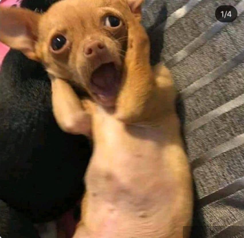 Sau khi bạn trai tôi ngoại tình