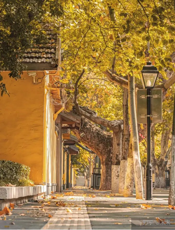 Sau Khi Làm Một Cô Em Chồng Mặc Kệ Sự Đời Tôi Sống Thoải Mái Muốn Chết