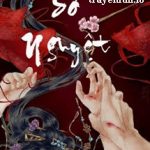 Sơ Nguyệt – Tứ Niên