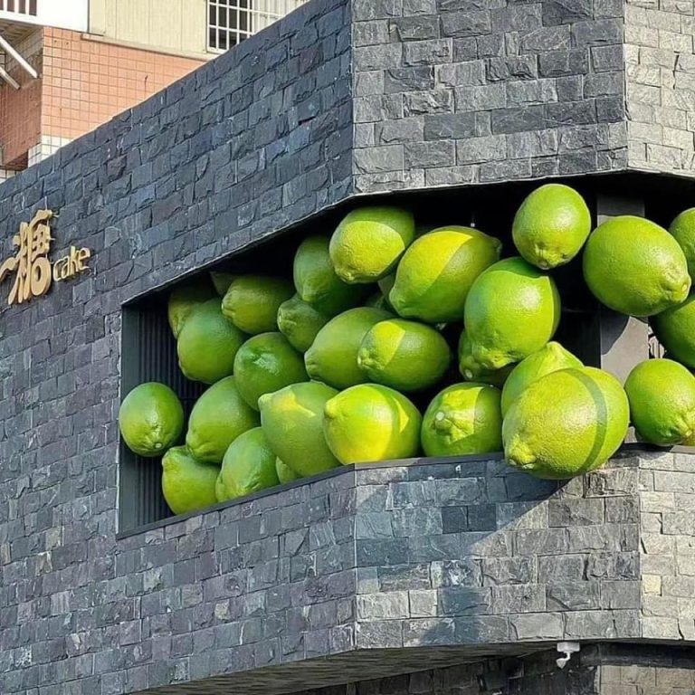 Sự trả thù của người vợ