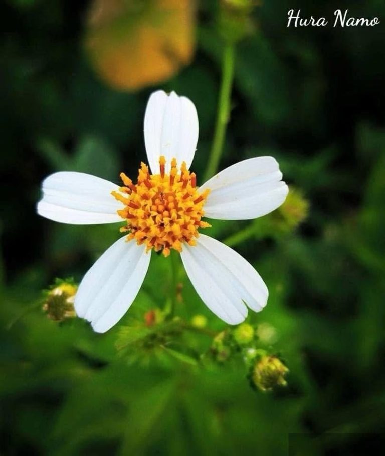 Thử một chút thôi