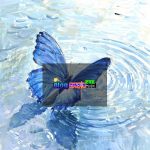 Trốn Khỏi Thằng Nhãi Hư Đốn