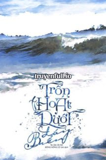 Trốn Thoát Dưới Đáy Biển – Đả Kết